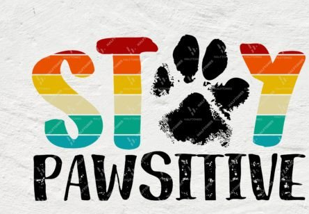 Stay Pawsitive